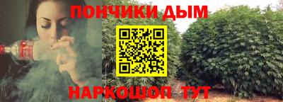 эйфоретик Можга