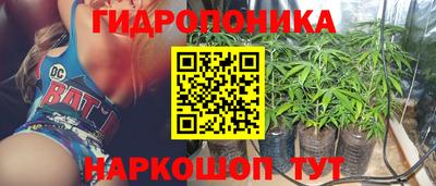 PSILOCYBIN Моздок